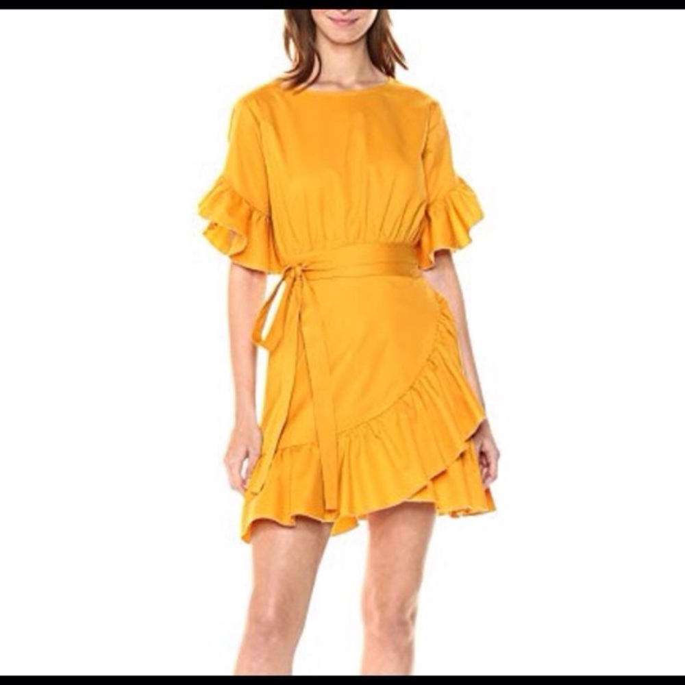 Cynthia Rowley wallflower ruffle tie dress